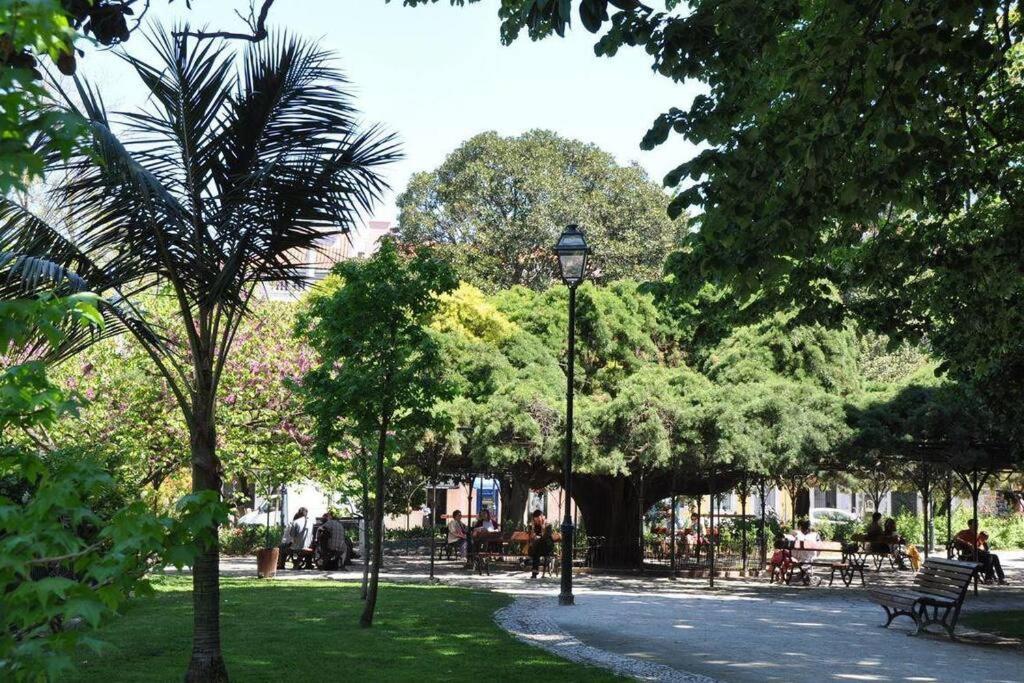 B1 Bairro Alto - Bica Spacious Bright